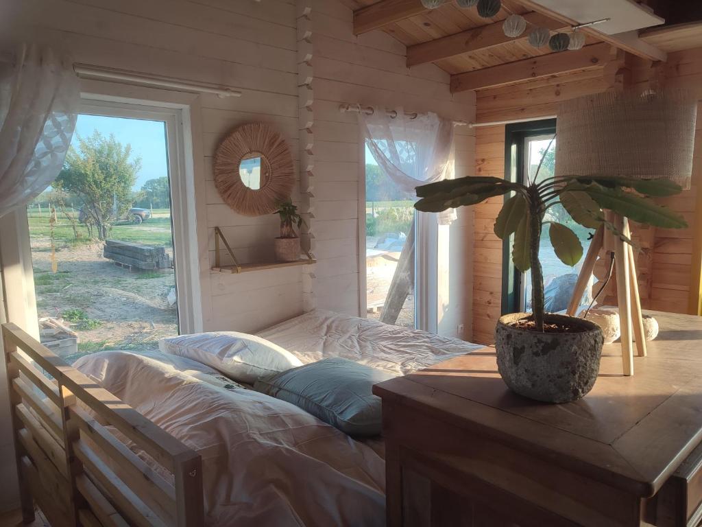 Chalet écologique en Baie de Somme — photo 2